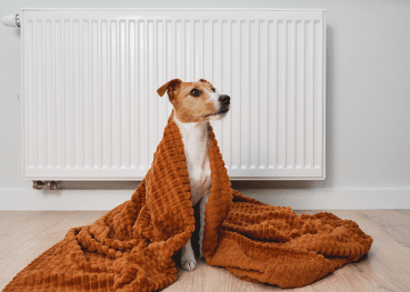 Dog wrapped in a brown blanket sitting in front of a radiator.